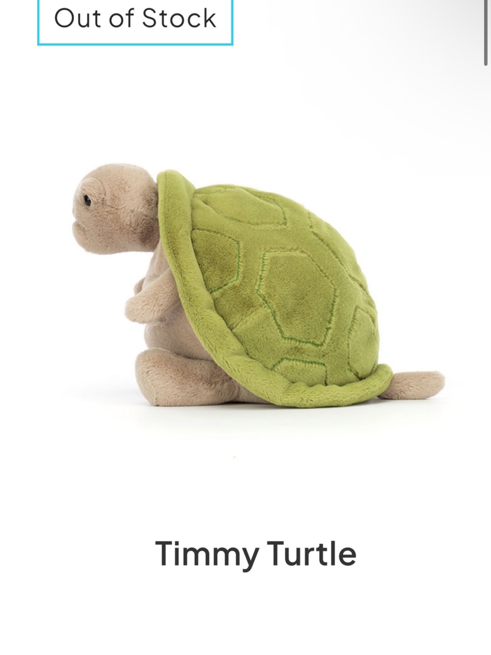 Timmy Turtle Plush - Green Shell Jellycat nwt authentic !